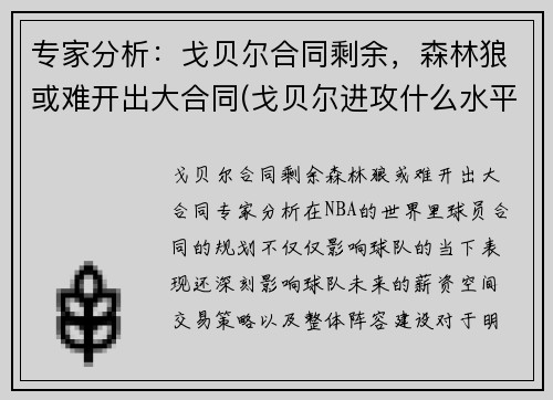 专家分析：戈贝尔合同剩余，森林狼或难开出大合同(戈贝尔进攻什么水平)